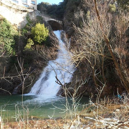 La Pinede De Manon Bed and Breakfast Barjols Εξωτερικό φωτογραφία